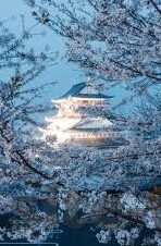 类似水果机的游戏-探索类似水果机的游戏世界